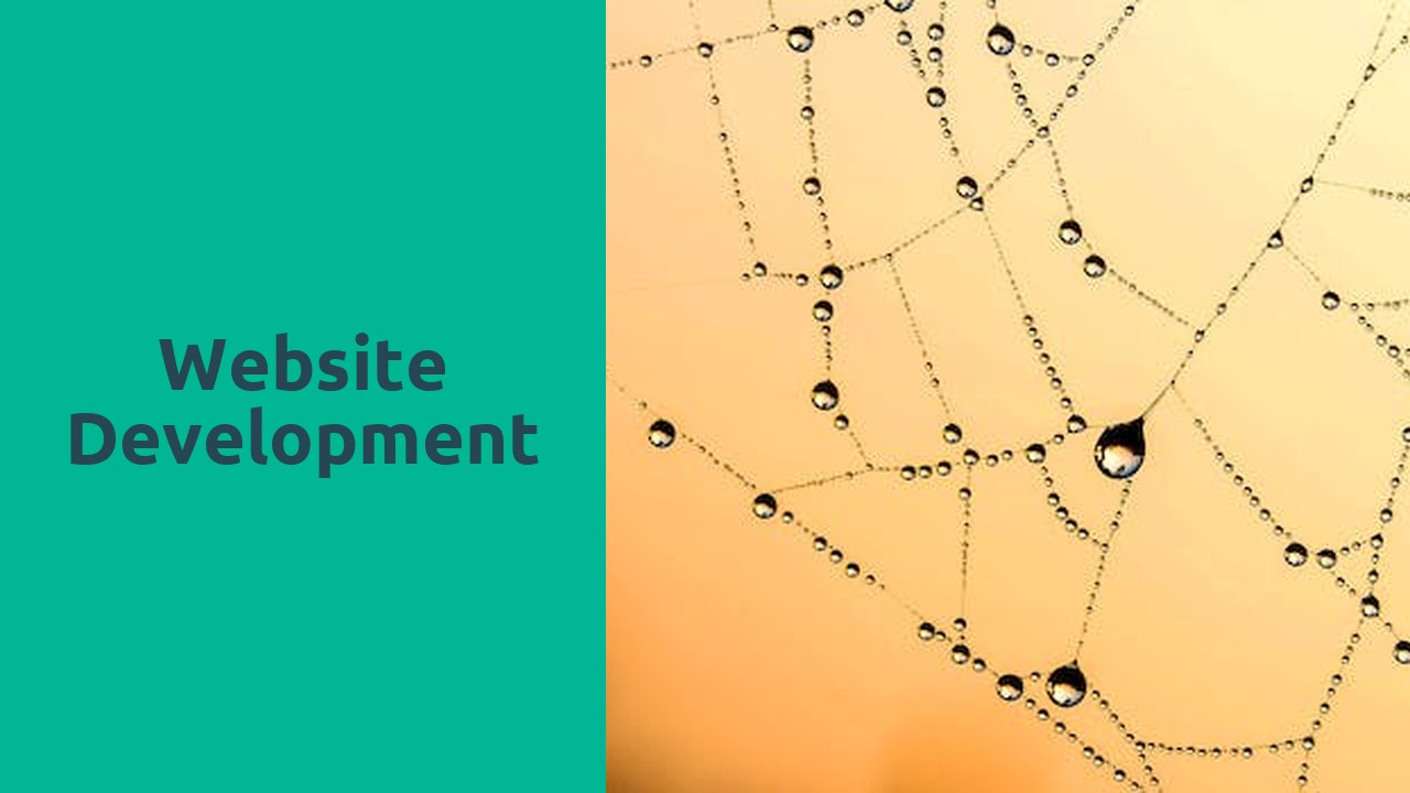 Website Development