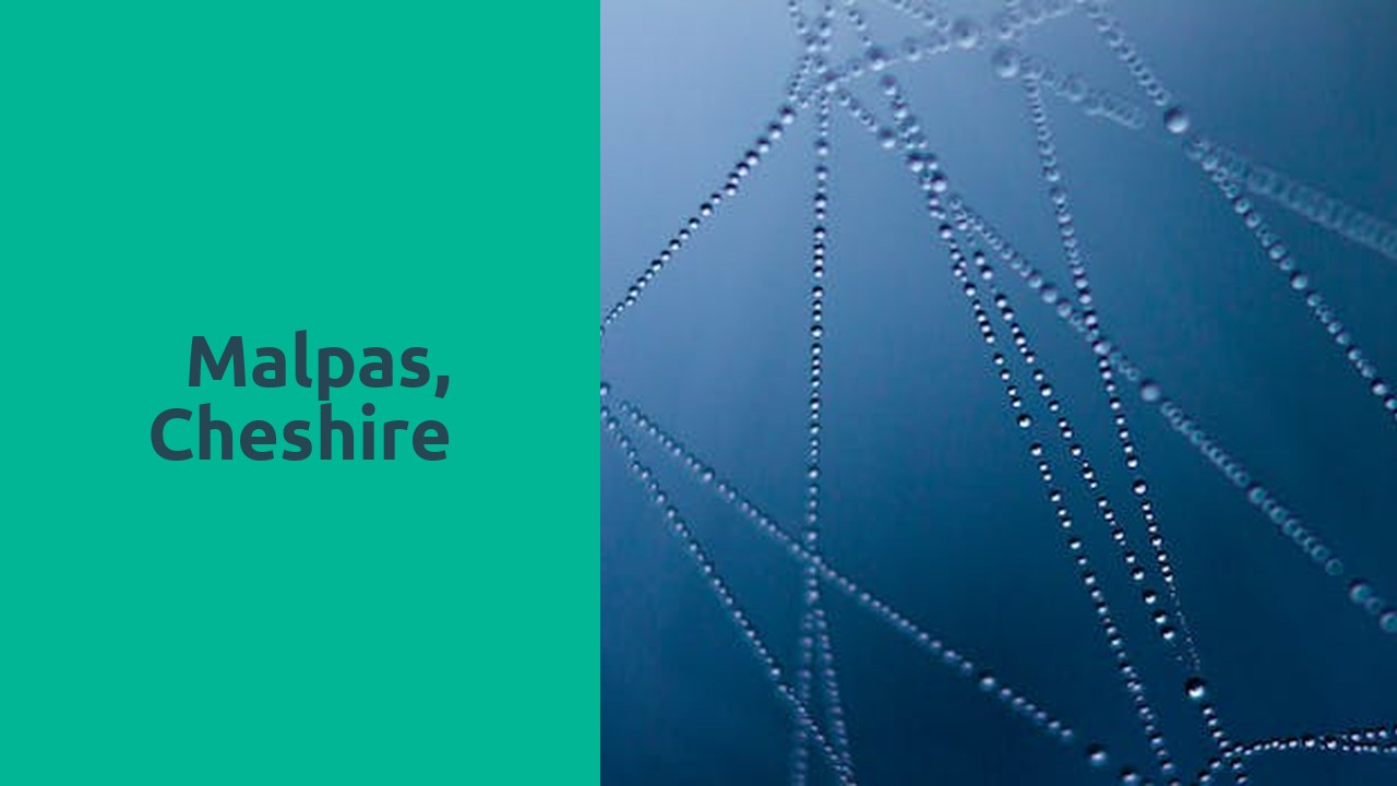 Things to do and places to visit in Malpas, Cheshire