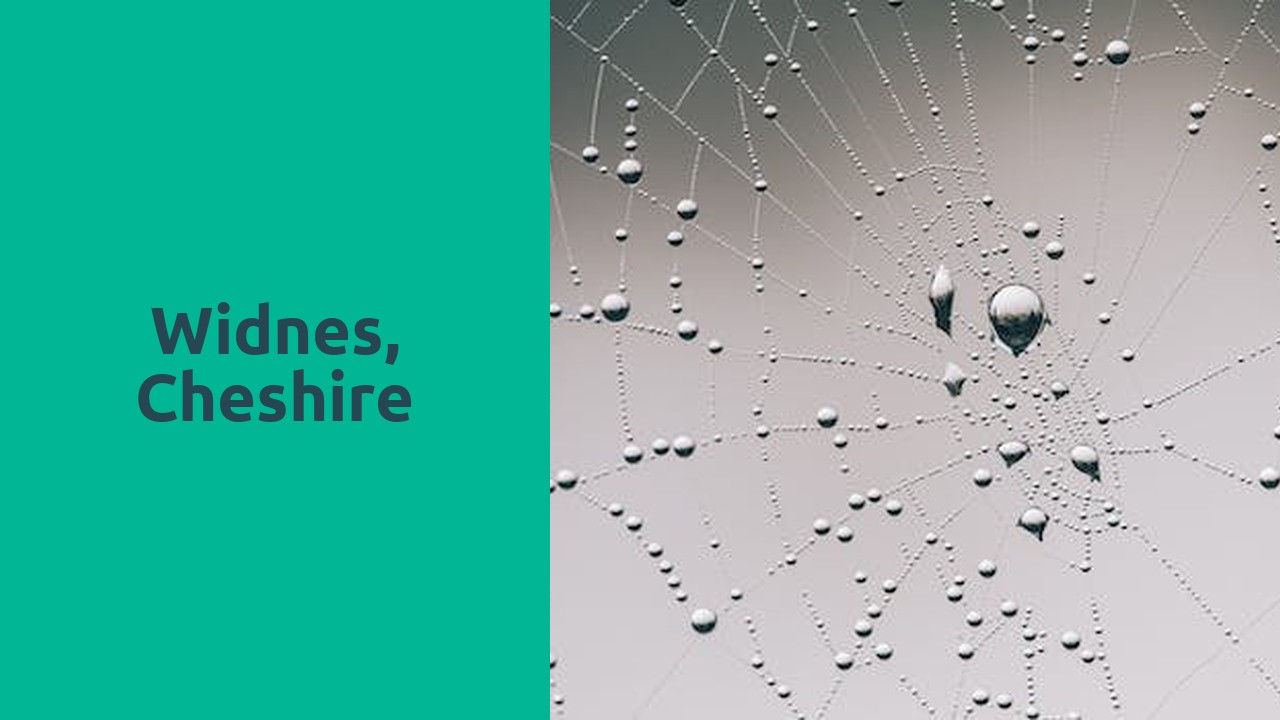 Widnes, Cheshire
